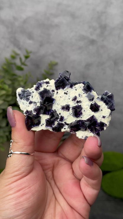 Yindu Mine Fluorite on Mica