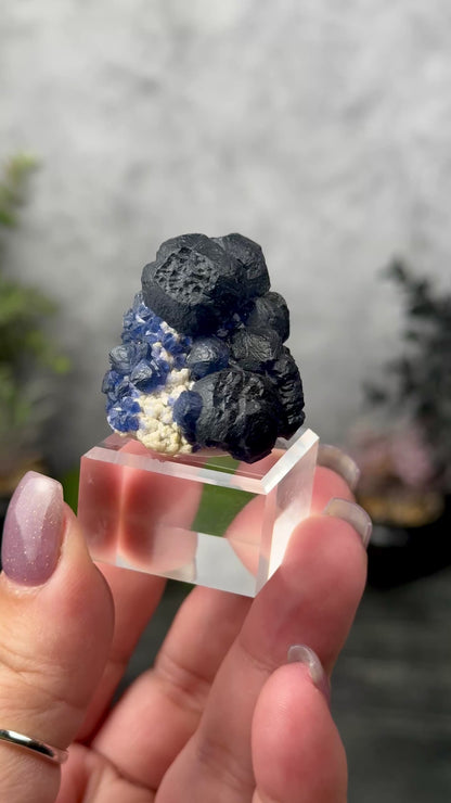 Blueberry Fluorite on Quartz