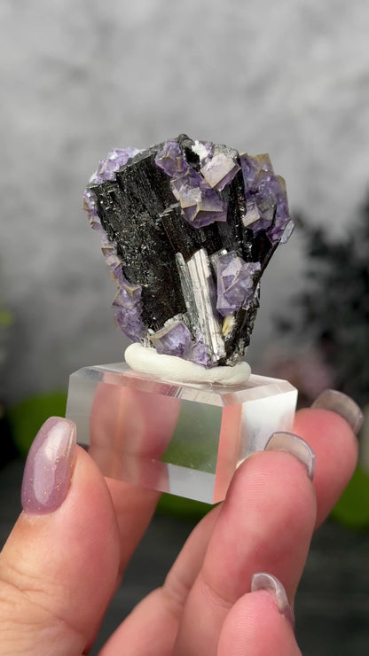 YGX Mine Fluorite on Wolframite